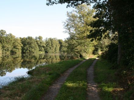 Tiefenau • Gemeinde Wülknitz